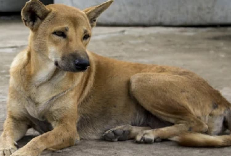 हमें भीड़ से बचना होगा, नियमों का पालन नहीं हुआ तो बढ़ेंगे मामले : स्वास्थ्य मंत्रालय