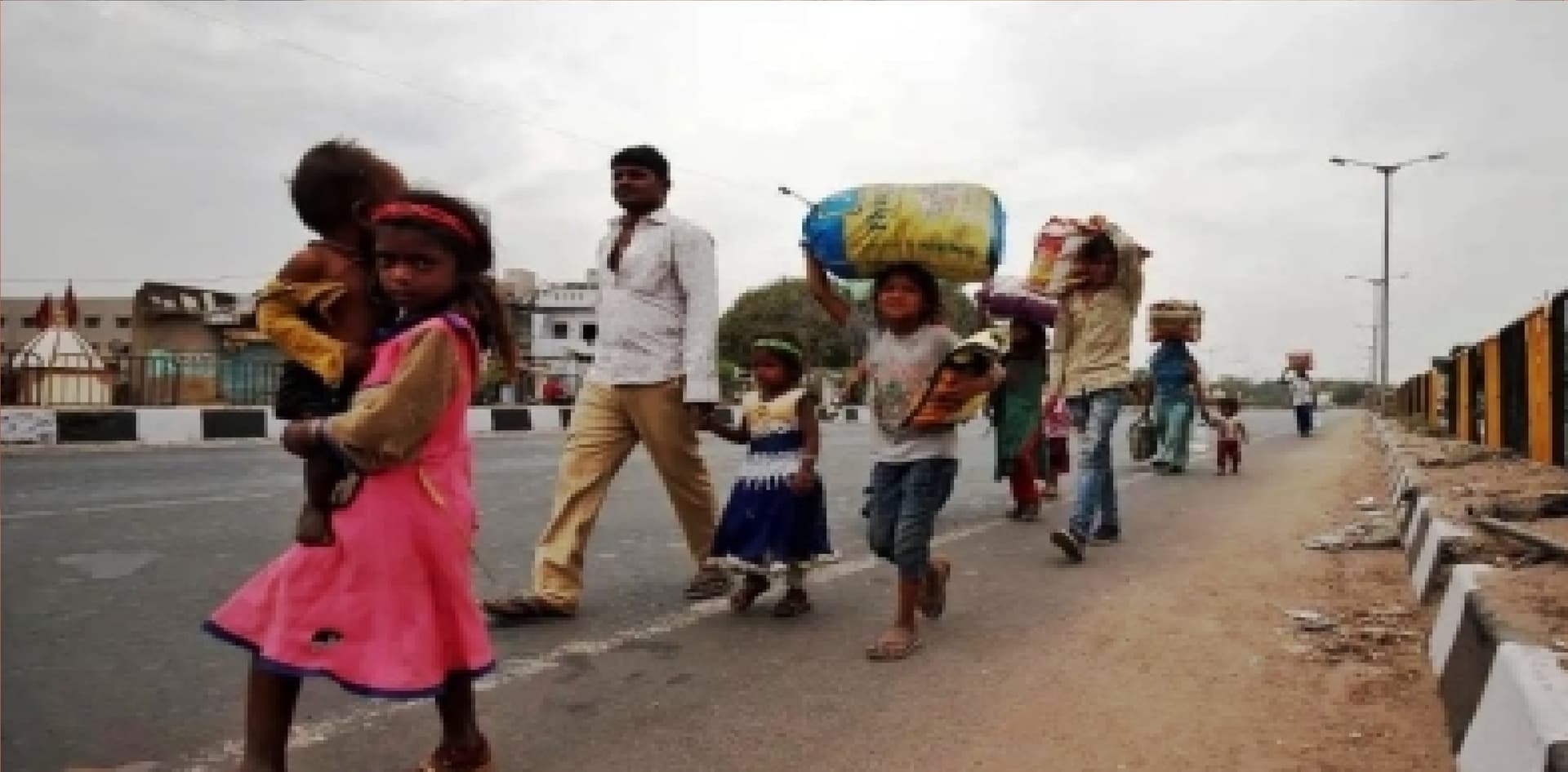राजस्थान और मध्यप्रदेश में आतंक मचाने के बाद फिर झासी पहुंचा टिड्डी दल, सीएम ने दिये सख्त निर्देश