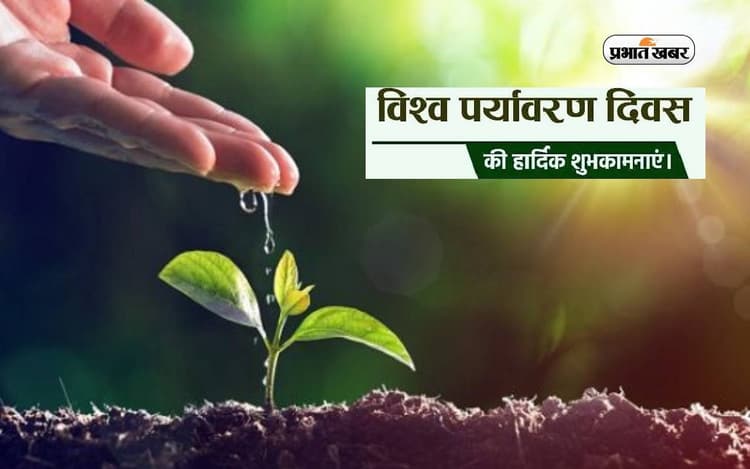 विश्व पर्यावरण दिवस पर पौधे लगाकर करें बागवानी, ऐसे बचाएं पानी