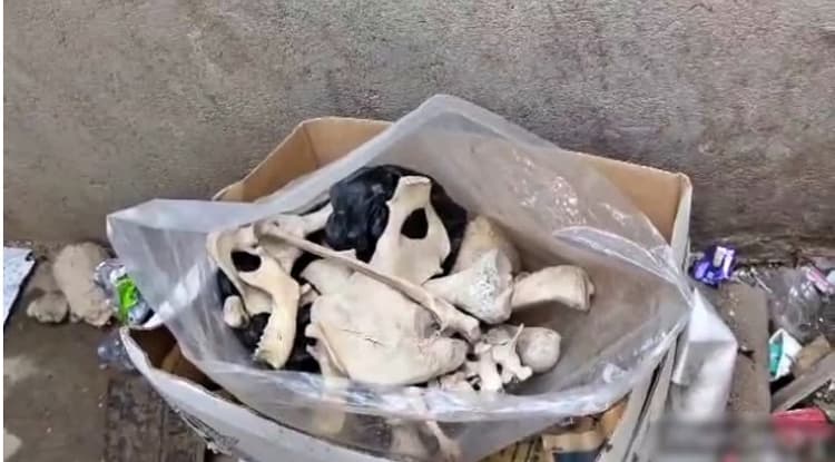 पटना के पॉश इलाके में डस्टबिन से मिला नर कंकाल, इलाके के लोगों में सनसनी, FSL करेगी जांच