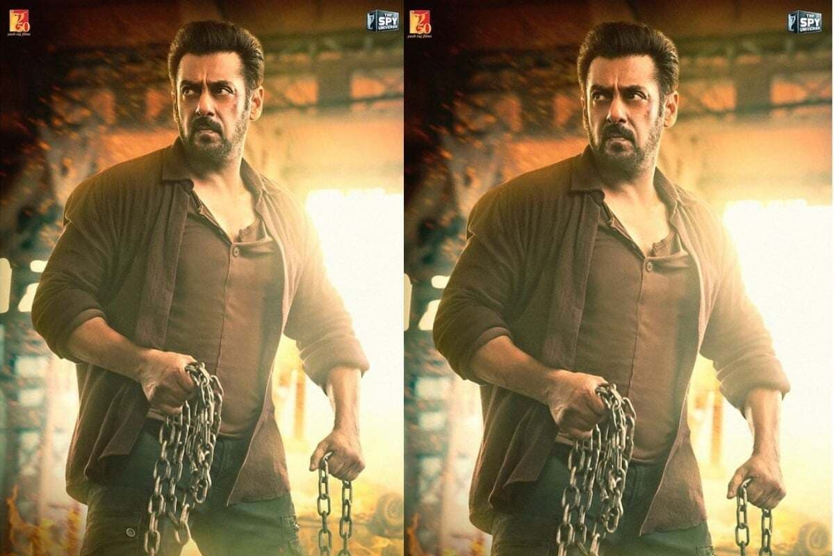 Tiger 3 Box Office Collection: सलमान खान की टाइगर 3 FLOP हुई या HIT, जल्द 300 करोड़ क्लब में होगी एंट्री