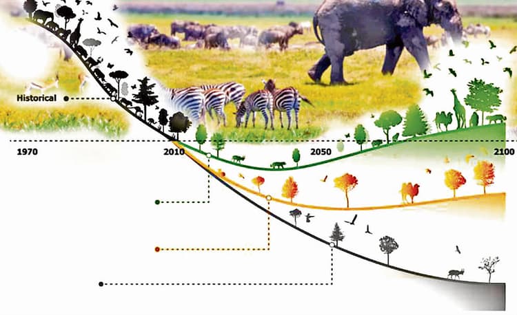 Living Planet Report 2020 : संकट में है जीवों का अस्तित्व, पांच दशक में 68 प्रतिशत जैव-विविधता नष्ट