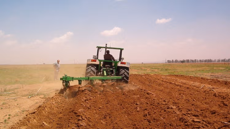 World Environment Day: बिहार में खाद में तीन गुना किया जा रहा है नाइट्रोजन का उपयोग, इससे बढ़ रहा तापमान