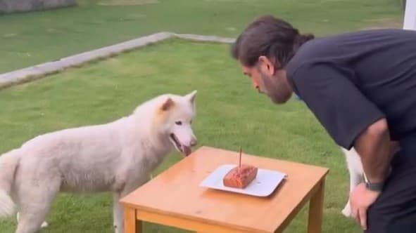 ये हैं MS Dhoni के खास पालतू जानवर, देखें तस्वीरें