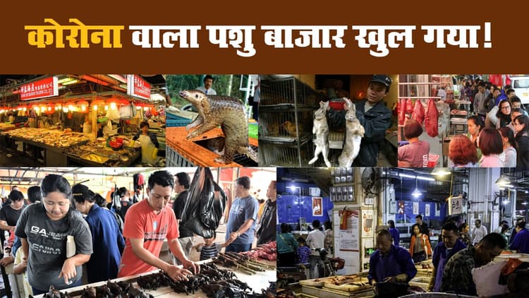 कोरोना वाला पशु बाजार खुल गया!
