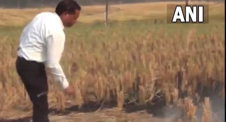 अगले 5 दिनों तक दिल्ली-एनसीआर में बना रहेगा गंभीर प्रदूषण, हरियाणा में पराली जलाने के खिलाफ कार्रवाई शुरू