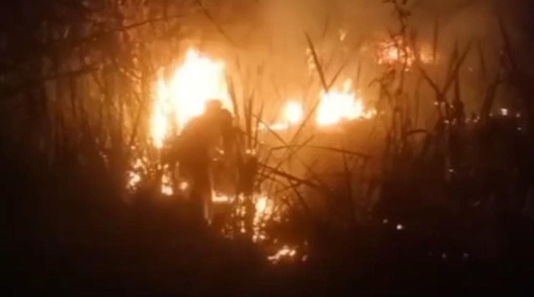 आगरा: कीठम के जंगल में एक चिंगारी ने मचाई तबाही, कर्मचारियों ने काफी मशक्कत के बाद पाया काबू, सामने आई ये वजह