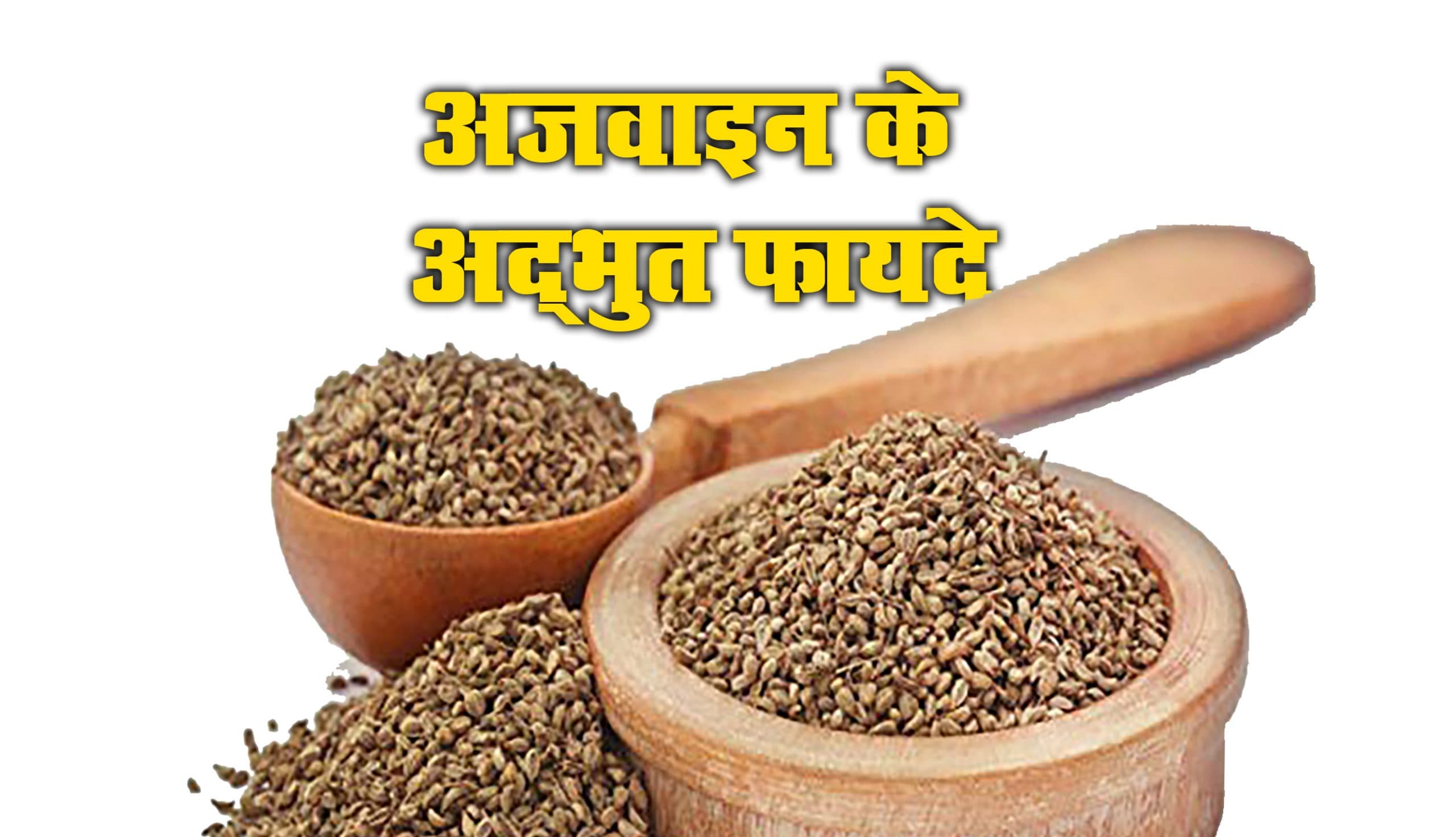 Ajwain Ke Fayde: चुटकी भर अजवाइन, छोटे बच्चों से बुजुर्गों तक के लिए फायदेमंद, डायबिटीज, पेट की समस्या समेत इन रोगों का है रामबाण इलाज