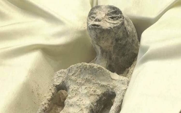 Alien Dead Bodies Found in Peru: मेक्सिको संसद में रखी गई 1000 साल पुरानी एलियंस की लाश