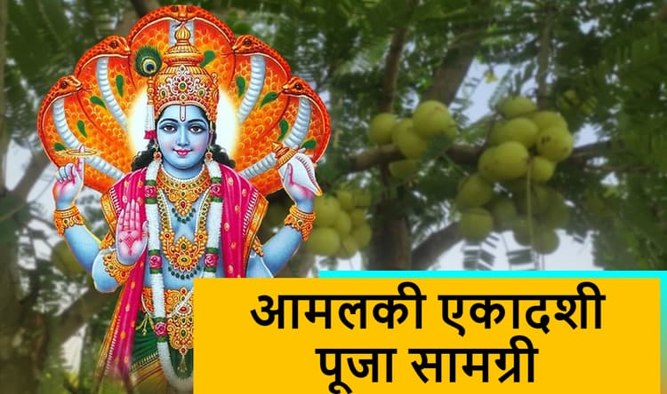 Amalaki Ekadashi 2021 आज, पूजा के लिए जरूरत पड़ेंगी ये सामग्रियां, जानें शुभ मुहूर्त व पारण का सही समय