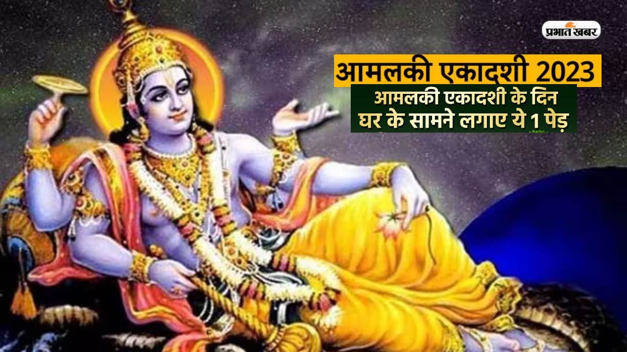 Amalaki Ekadashi 2023: आमलकी एकादशी पर घर में लगाएं ये पौधा, आर्थिक स्थिति होगी अच्छी