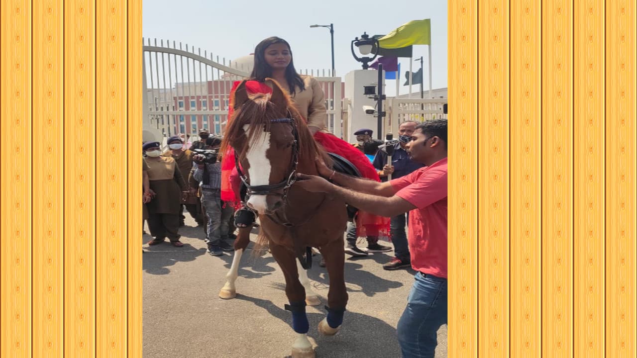 Jharkhand News : महिला दिवस पर अलग अंदाज में दिखीं बड़कागांव विधायक अंबा प्रसाद, घोड़े पर सवार होकर पहुंची विधानसभा