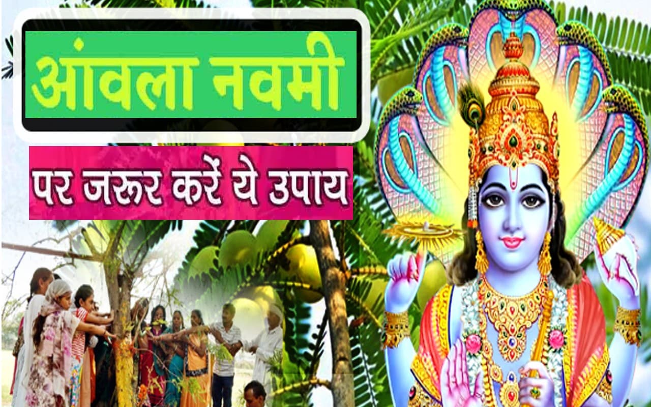 Amla Navami 2022 Upay: आंवला नवमी आज, भगवान विष्णु की कृपा पाने के लिए जरूर करें ये उपाय Amla Navami 2022 Upay: आंवला नवमी आज, भगवान विष्णु की कृपा पाने के लिए जरूर करें ये उपाय