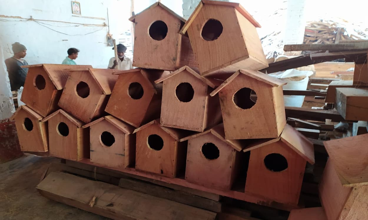 प्रवासी पक्षियों के लिए मसरिया बांध इलाके के पेड़ों में लगेगा कृत्रिम घोंसला, तैयारी पूरी