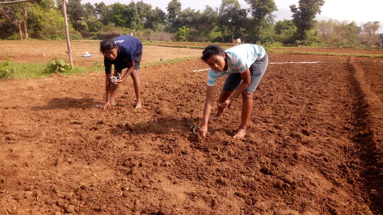 झारखंड की इंटरनेशनल फुटबॉलर आशा कुमारी खेत में काम करने को मजबूर, पूर्व विधायक कुणाल षाड़ंगी ने मदद के बढ़ाये हाथ