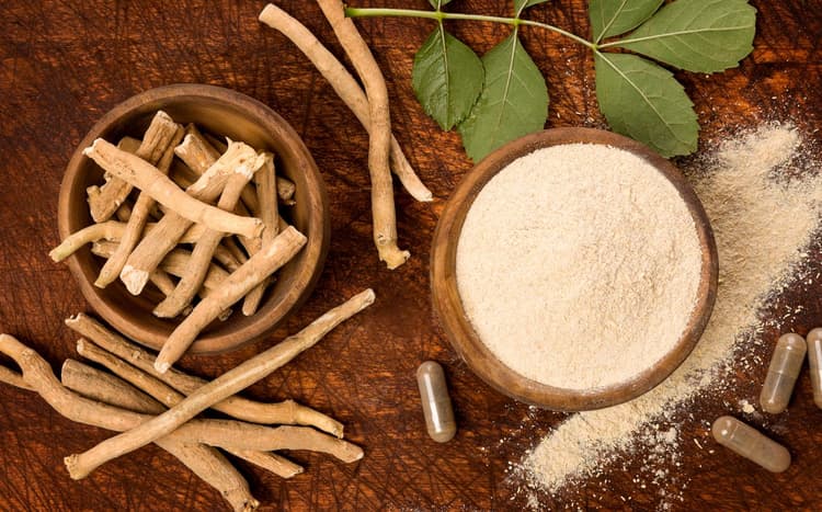 Ashwagandha Clinical Trials: कोरोना मरीजों के रिकवरी में अश्वगंधा कितना प्रभावकारी? भारत-यूके करेगा परीक्षण