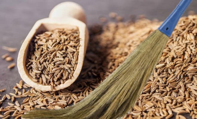 Cumin Benefits Side Effects: फूल झाड़ू की घास से बना जीरा आपकी सेहत को पहुंचा रहा नुकसान, असली और नकली जीरे में ऐसे करें पहचान