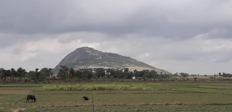 वन विभाग की पहल पर पर्यटन नगरी में बनेगी मंदार वाटिका