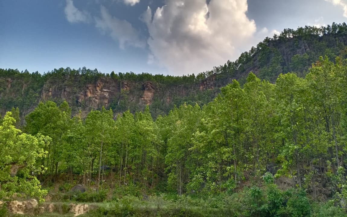 विश्व पर्यावरण दिवस 2020 : बड़कागांव में पेड़ों की टहनी और पत्ते तोड़ने पर भरना पड़ता है जुर्माना