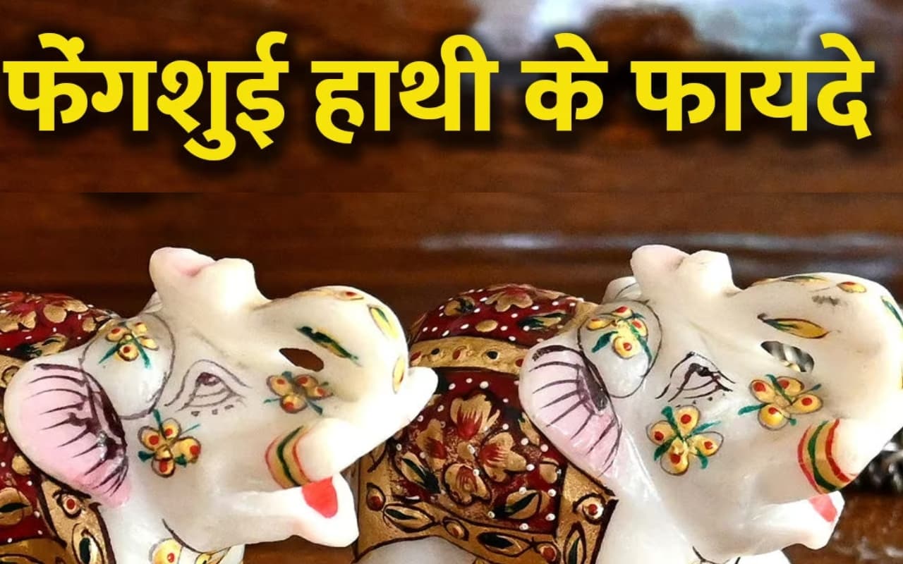घर में फेंगशुई हाथी की मूर्ति रखने के हैं कई फायदे, जानें इसे रखने का सही तरीका, दिशा, रंग समेत डिटेल