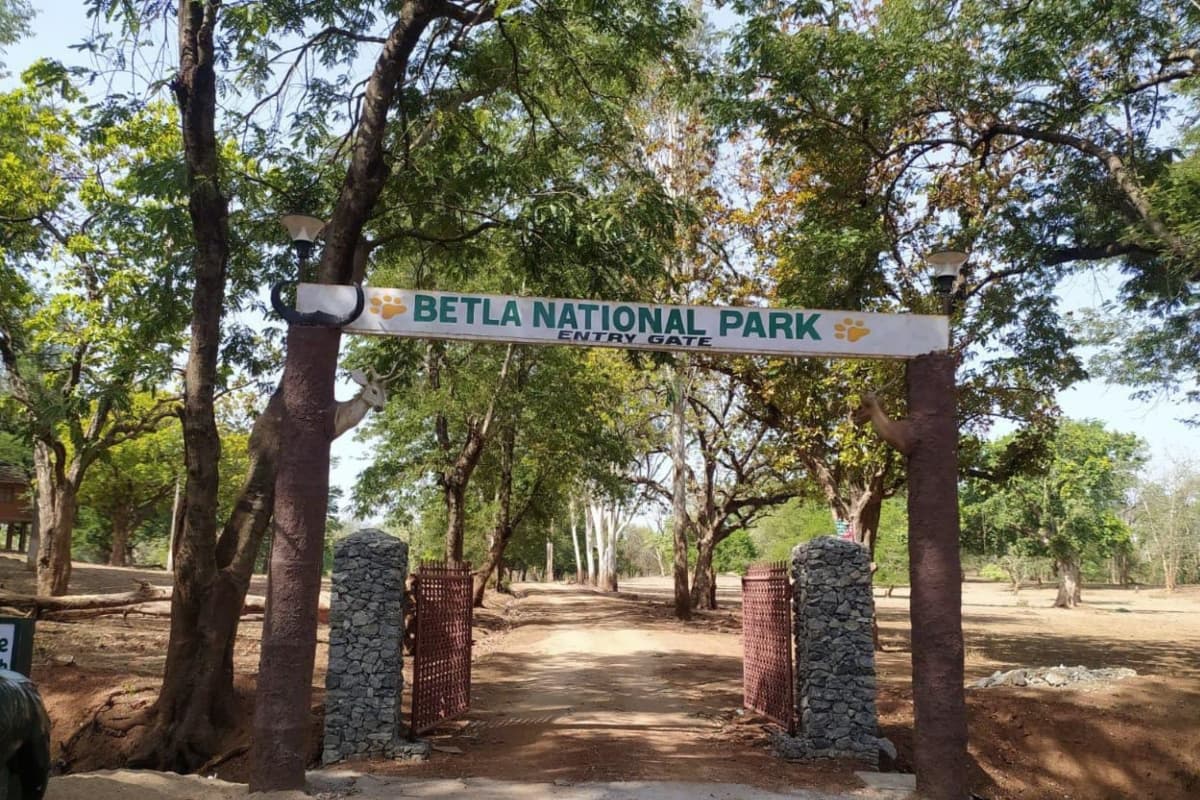बेतला नेशनल पार्क में नो इंट्री खत्म, घूमने के लिए कुछ नए नियम लागू, एडवांस बुकिंग शुरू