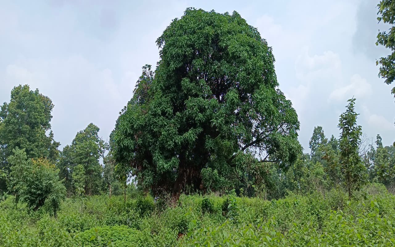 Prabhat Khabar Special : झारखंड का एक ऐसा गांव जहां नहीं रहते कोई ग्रामीण, आबादी है शून्य, जानें कारण
