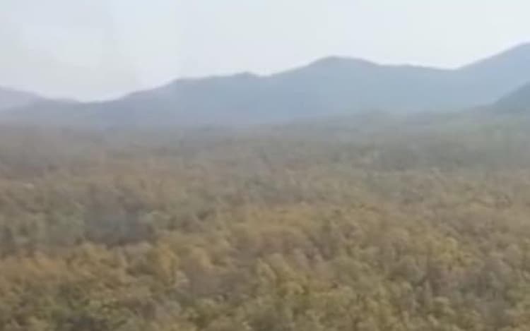 झारखंड : बूढ़ा पहाड़ में बेतला से लाये जायेंगे 50 चीतल, ईको सिस्टम को संतुलित करने की कोशिश तेज