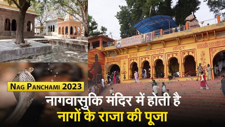 Video: नागवासुकि मंदिर जहां होता है काल सर्प दोष का निवारण, नागों के राज की होती है पूजा