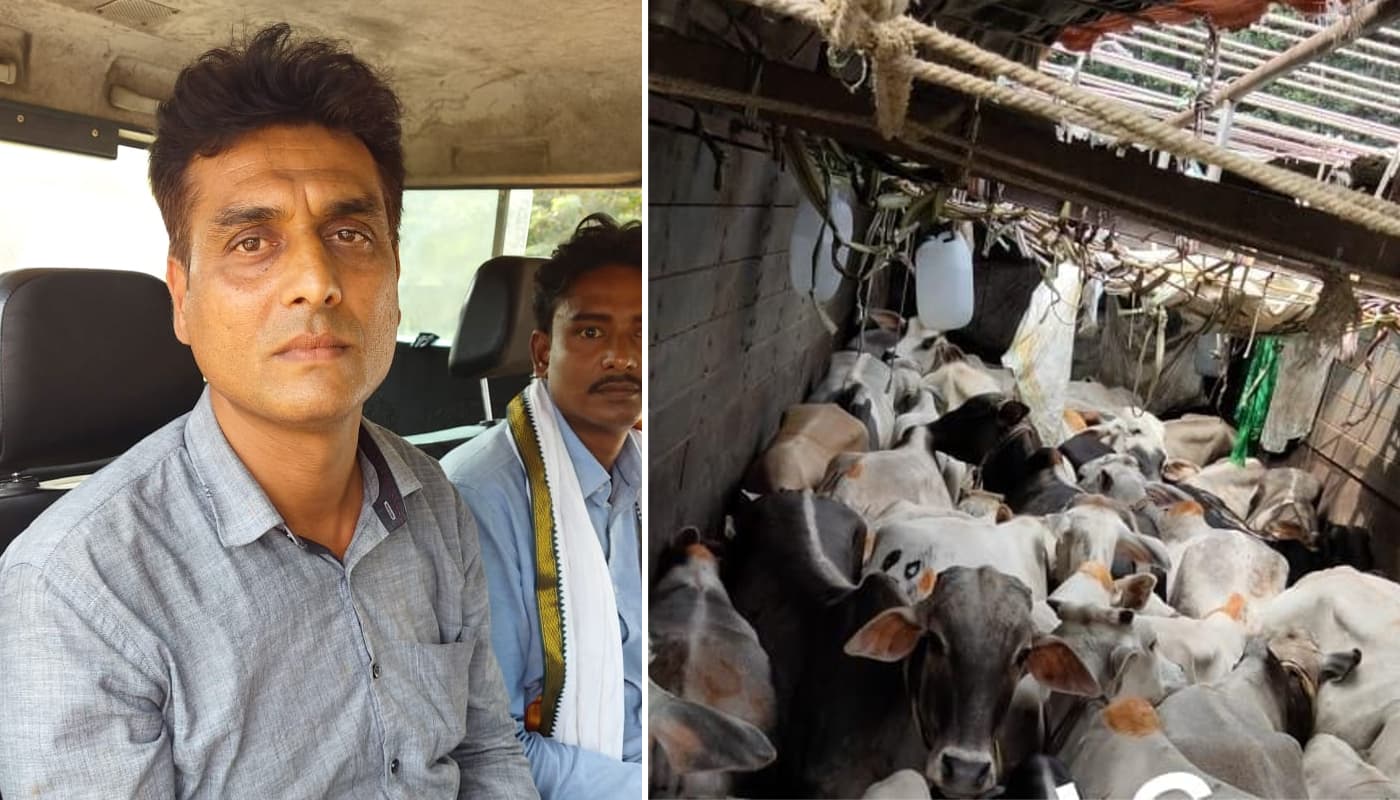 Jharkhand News: अंतरराज्यीय मवेशी तस्कर गिरोह के सरगना यूसुफ खान उर्फ बबलू को रामगढ़ पुलिस ने किया गिरफ्तार