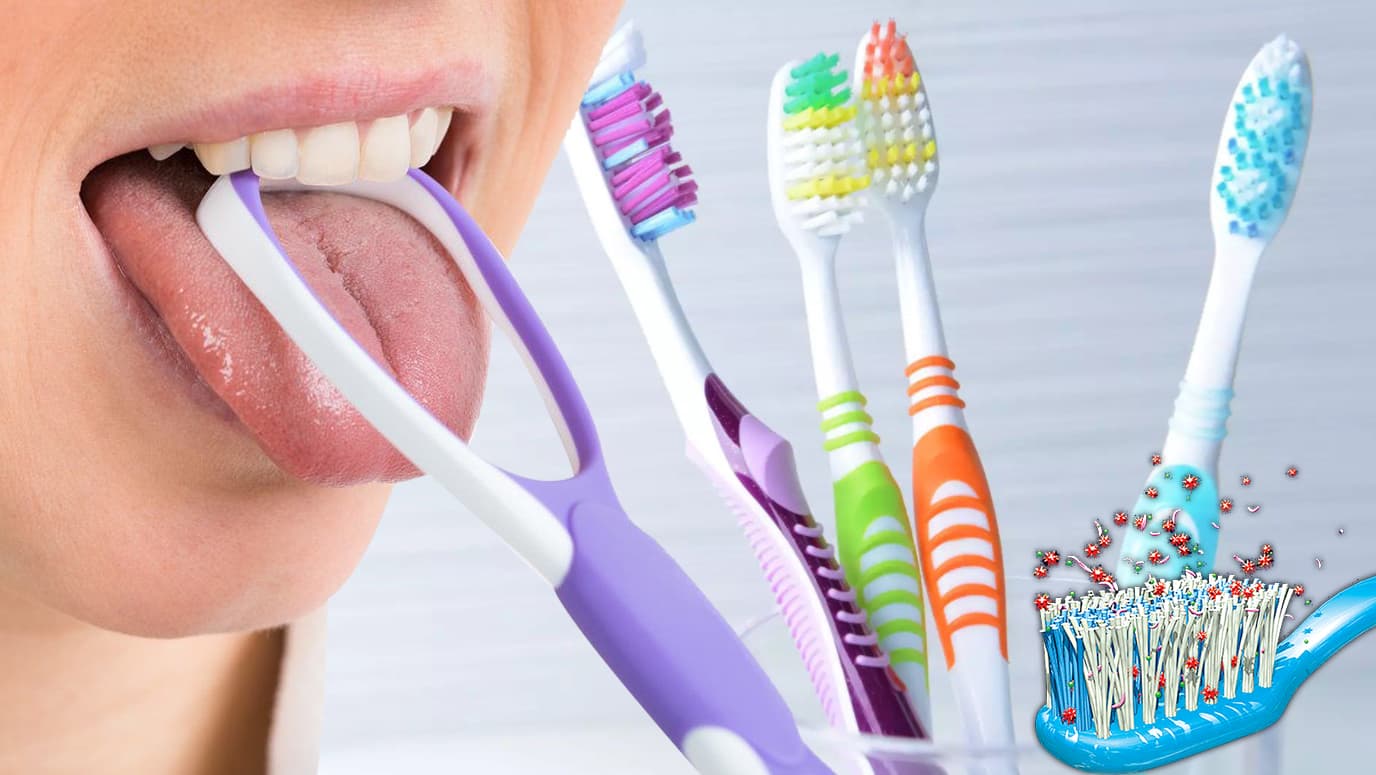 Corona संक्रमण से उबर चुके हैं तो फौरन बदल दें अपना Toothbrush, वरना दोबारा हो सकते हैं संक्रमित! जानें क्या है एक्सपर्ट की राय Corona संक्रमण से उबर चुके हैं तो फौरन बदल दें अपना Toothbrush, वरना दोबारा हो सकते हैं संक्रमित! जानें क्या है एक्सपर्ट की राय