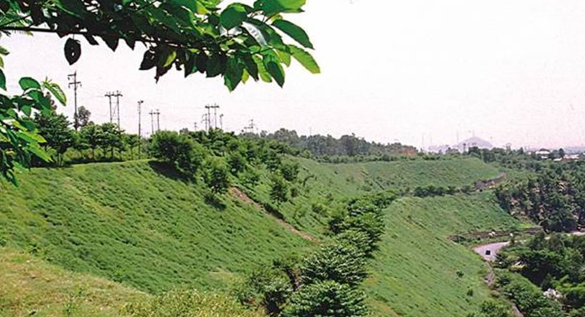 पर्यावरण संरक्षण की पहल: कोल इंडिया के जयंत प्रोजेक्ट में 200 हेक्टेयर से अधिक बढ़ा वन क्षेत्र