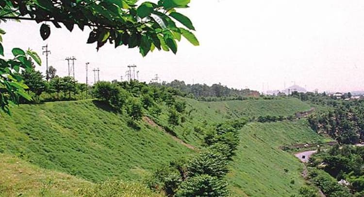 पर्यावरण संरक्षण की पहल: कोल इंडिया के जयंत प्रोजेक्ट में 200 हेक्टेयर से अधिक बढ़ा वन क्षेत्र