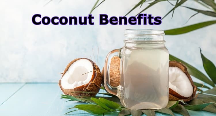 Coconut Benefits: थायराइड हेल्थ के लिए सबसे अच्छा फूड है नारियल, जान लें इसके फायदे
