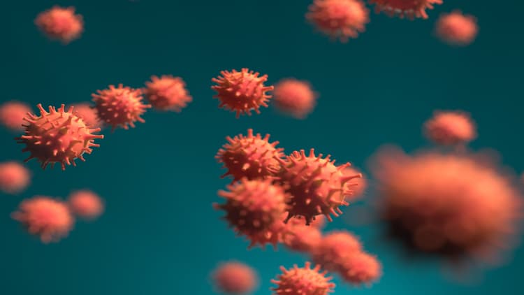 वैज्ञानिकों ने खोज निकाला वायरस खाने वाला सूक्ष्मजीव, कोविड-19 के कहर के मिलेगी मुक्ति?