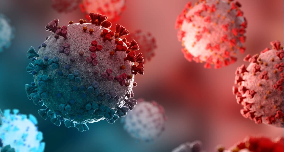 झारखंड में कोरोना की रफ्तार फिर हुई तेज, साढ़े 300 के करीब पहुंचा एक्टिव केस, इन 3 जिले में तो सबसे अधिक