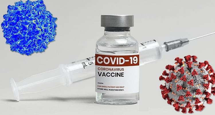 Coronavirus: कोविड-19 रोधी टीके का दुबले, मोटे लोगों को पर असर थोड़ा कम, स्टडी का दावा