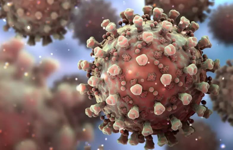 Corona Virus: ओमिक्रोन को लेकर स्वास्थ्य विभाग अलर्ट, बिहार के सभी जिलों को दिशा-निर्देश जारी