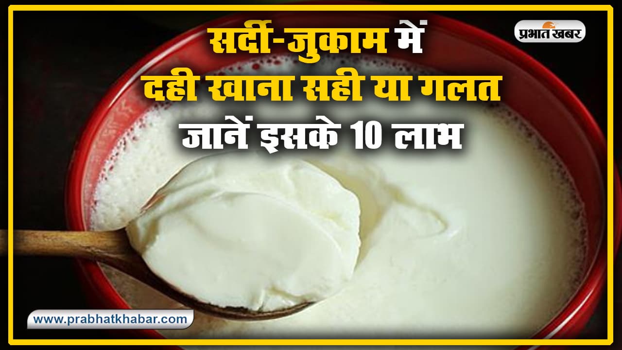 सर्दी-जुकाम में दही खाना सही या गलत ? इम्यूनिटी बढ़ाने समेत इन 10 मामलों में है फायदेमंद, किन्हें नहीं करना चाहिए सेवन सर्दी-जुकाम में दही खाना सही या गलत ? इम्यूनिटी बढ़ाने समेत इन 10 मामलों में है फायदेमंद, किन्हें नहीं करना चाहिए सेवन