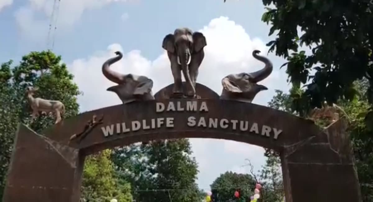 दलमा वन्य प्राणी आश्रयणी में इंट्री करना होगा महंगा, गेस्ट हाऊस का भी किराया बढ़ा