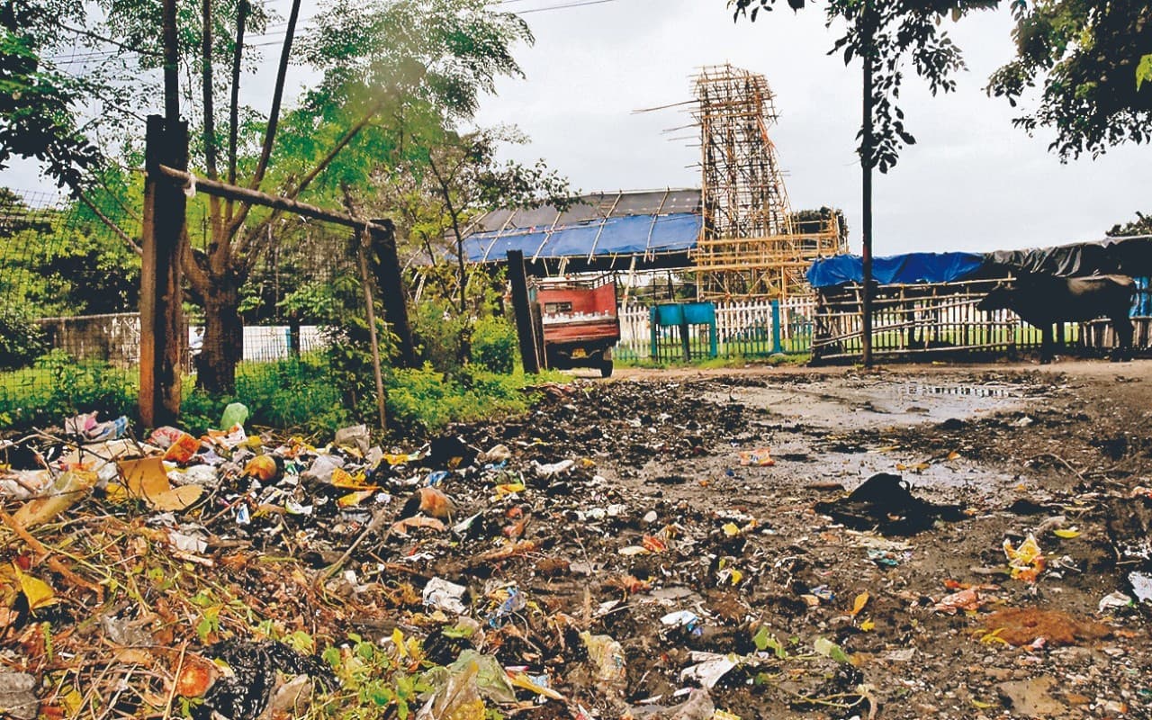 धनबाद के रेलवे कॉलोनियों का हाल बेहाल, गंदगी के बीच रहने को मजबूर लोग