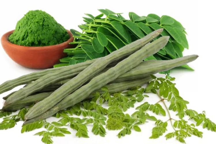 औषधीय गुणों से भरपूर सहजन बना बिहार के किसानों की पहली पसंद, सरकार देगी 50 प्रतिशत अनुदान