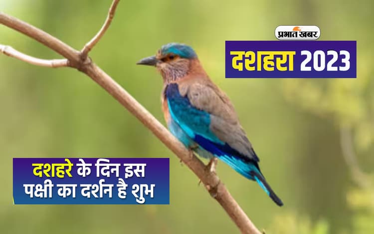 Dussehra 2023 में इस खास पक्षी के दर्शन मात्र से ही बदल जाती है किस्मत, जानें क्या है खास