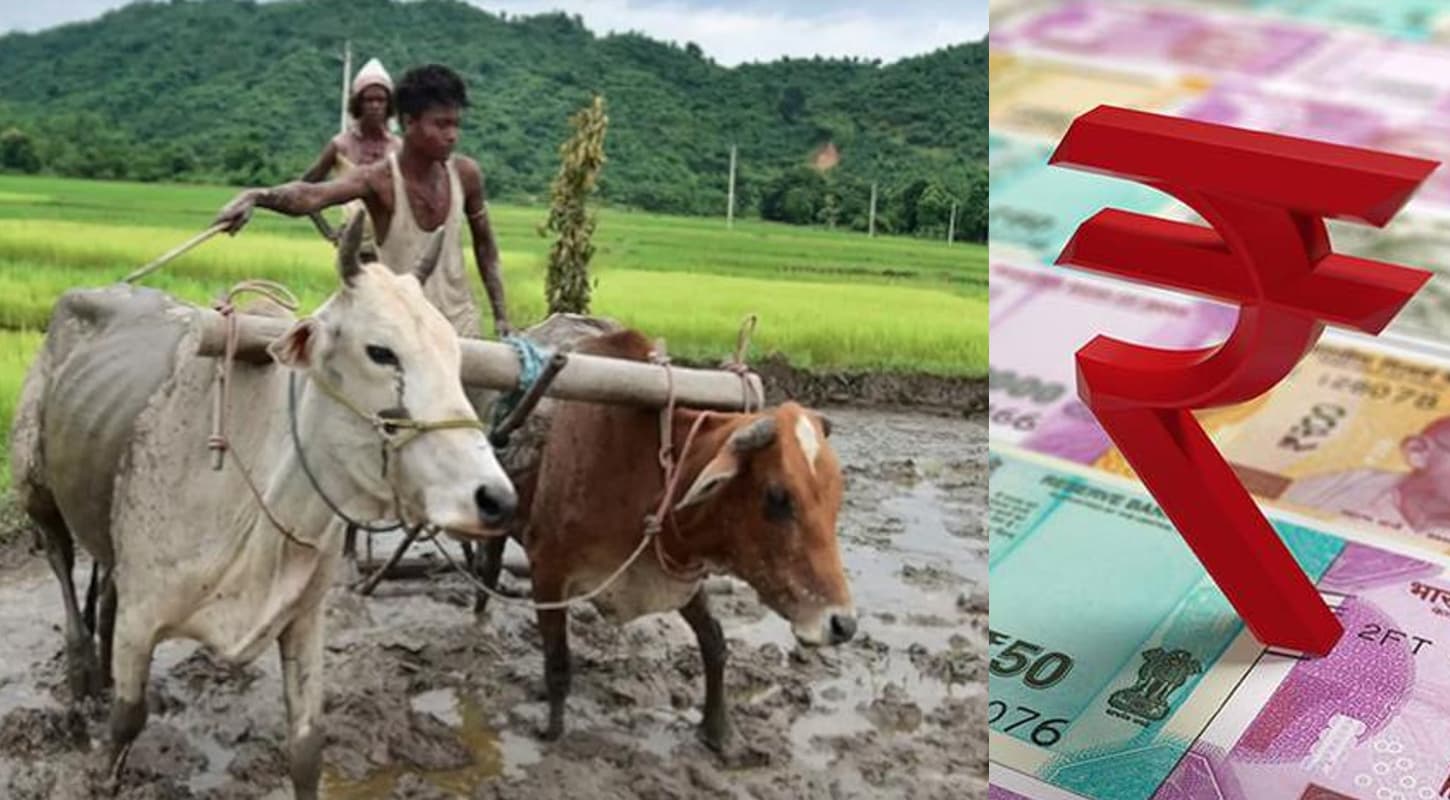 Budget 2023: किसानों को 600 करोड़ रुपये के अनुदान का आज भी है इंतजार, 2015 में सरकार ने किया था ऐलान