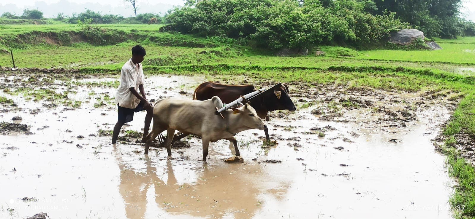 Budget: 1 करोड़ किसानों को जैविक खेती के लिए प्रेरित करने के लिए बनेंगे 10 हजार जैविक कच्चा माल संसाधन केंद्र