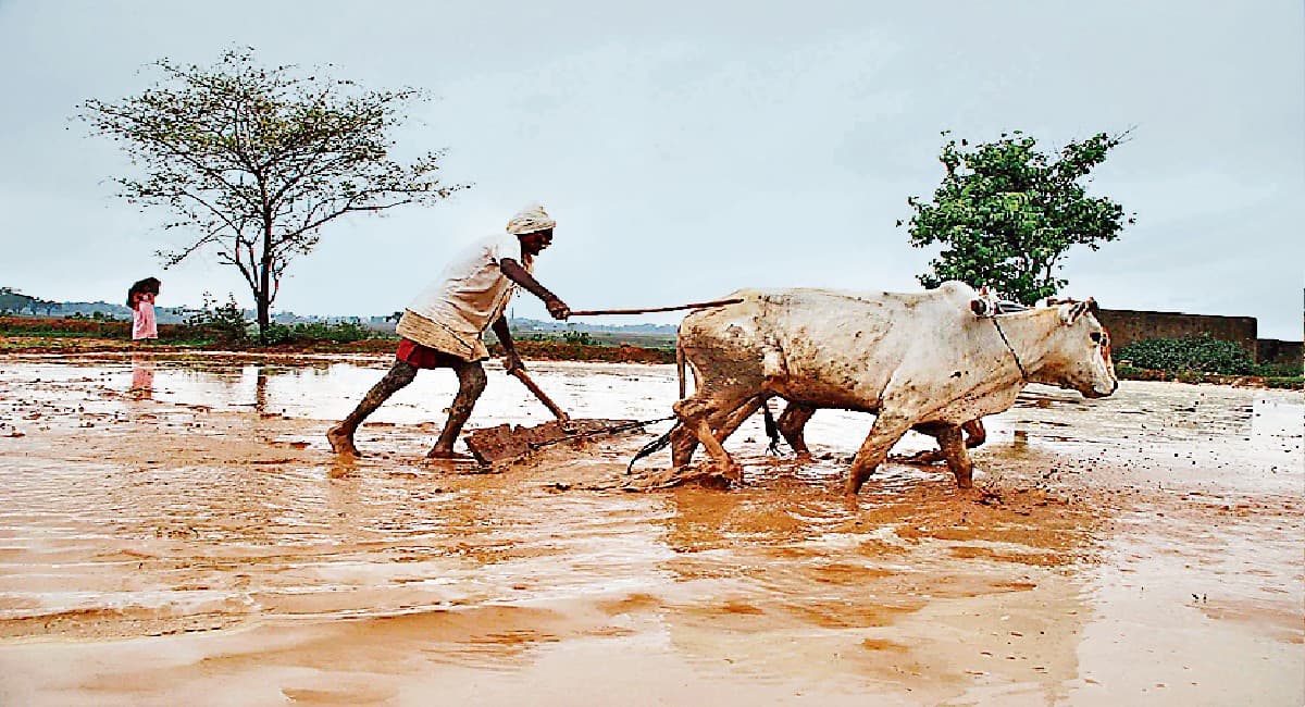 Jharkhand News: कृषि विभाग सुस्त, गुजर गये वित्तीय वर्ष के सात महीने, 29 योजनाओं पर नहीं हुआ काम Jharkhand News: कृषि विभाग सुस्त, गुजर गये वित्तीय वर्ष के सात महीने, 29 योजनाओं पर नहीं हुआ काम