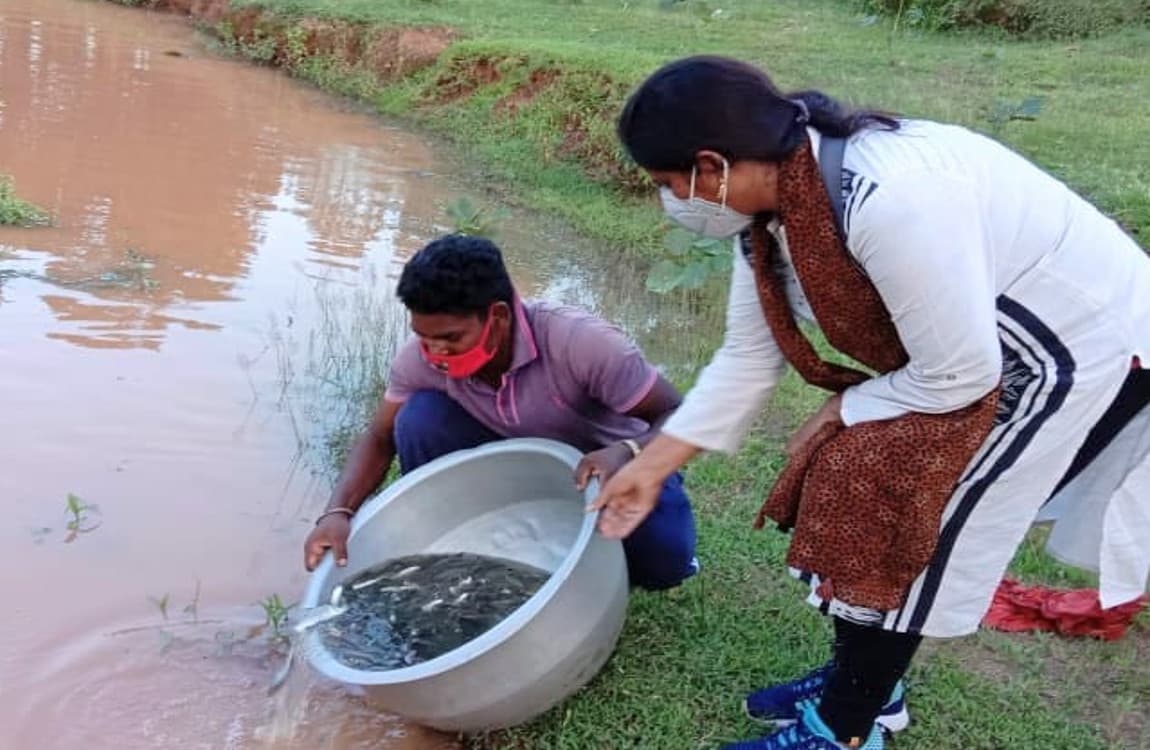 सारण में 43 फीसदी कम बारिश के कारण कई चौर-तालाब सूखे, मछली उत्पादन का लक्ष्य पाना हुआ मुश्किल
