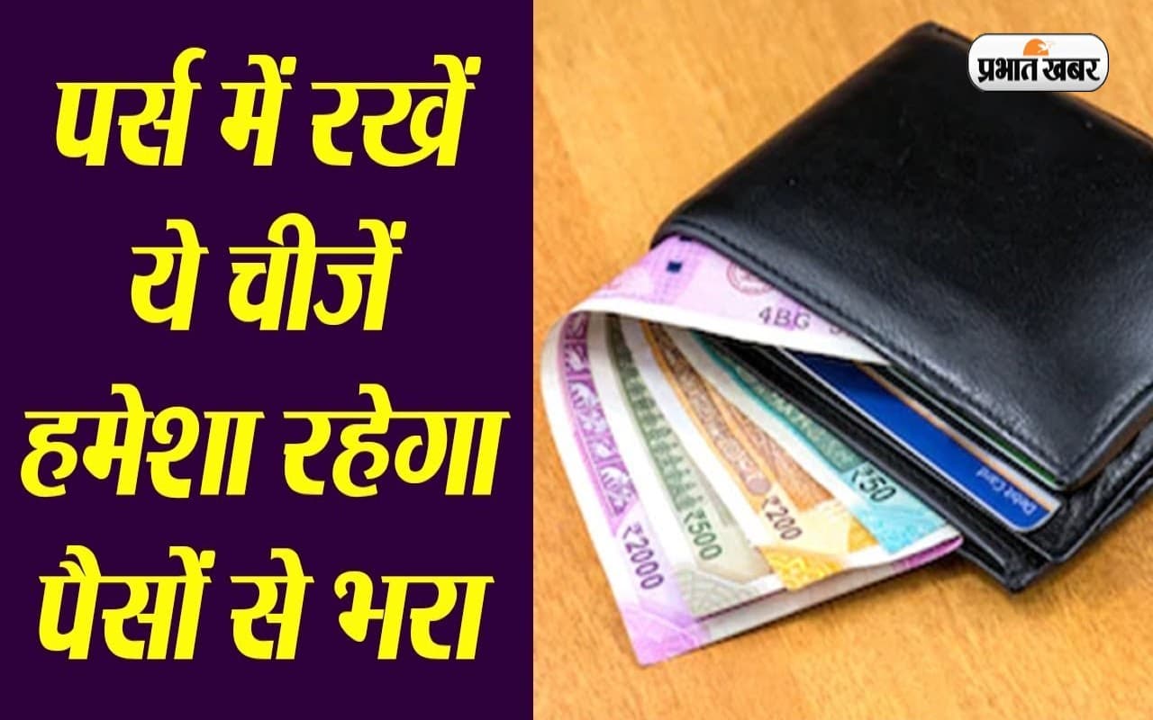Alum for Money: पर्स में ये चीज रखने से नहीं होगी धन की कमी, पैसों से भर जाएगी तिजोरी