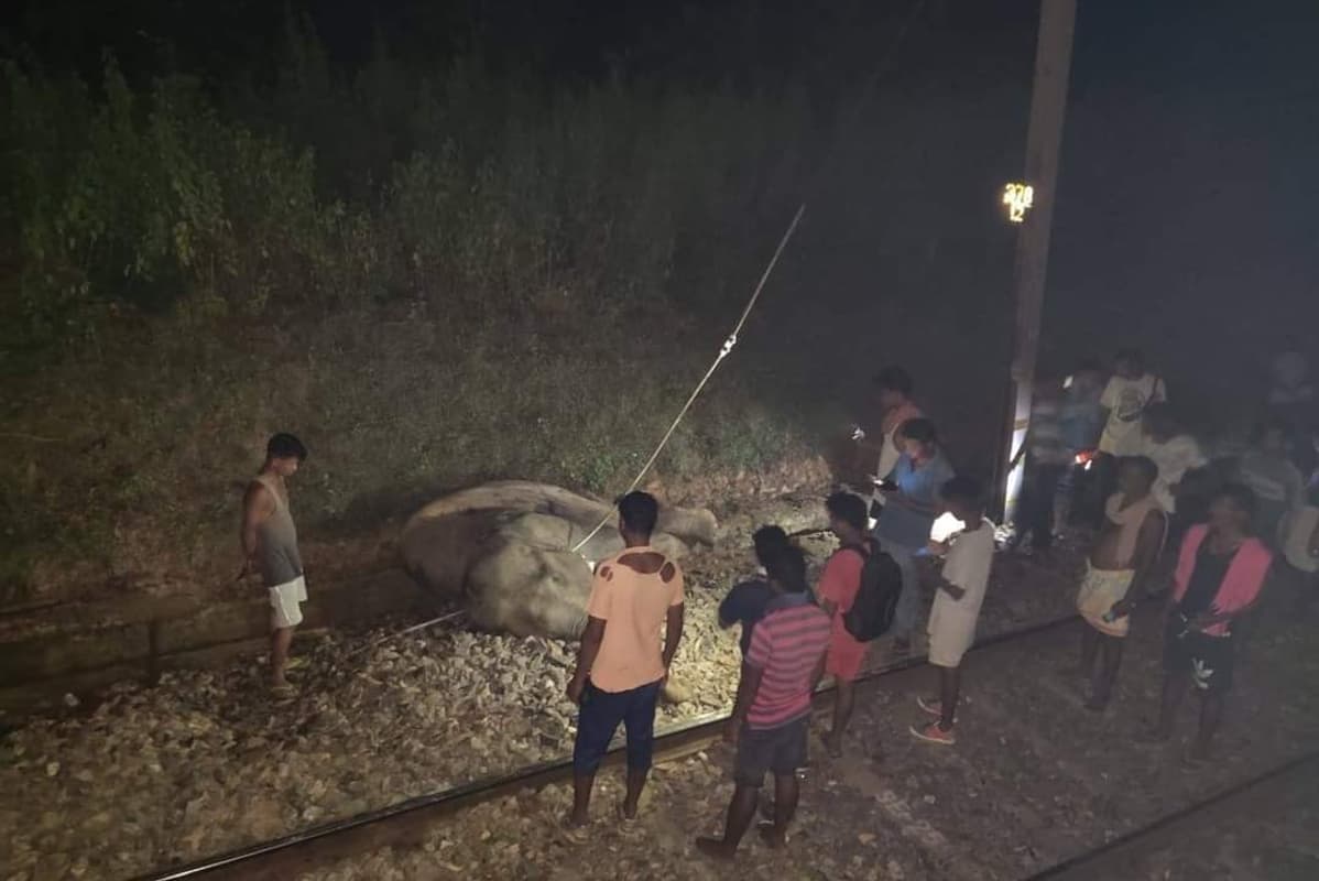 झारखंड में ट्रेन से कटकर हाथी की मौत, एलीफैंट जोन में हादसे के बाद रेलगाड़ियों का परिचालन बंद