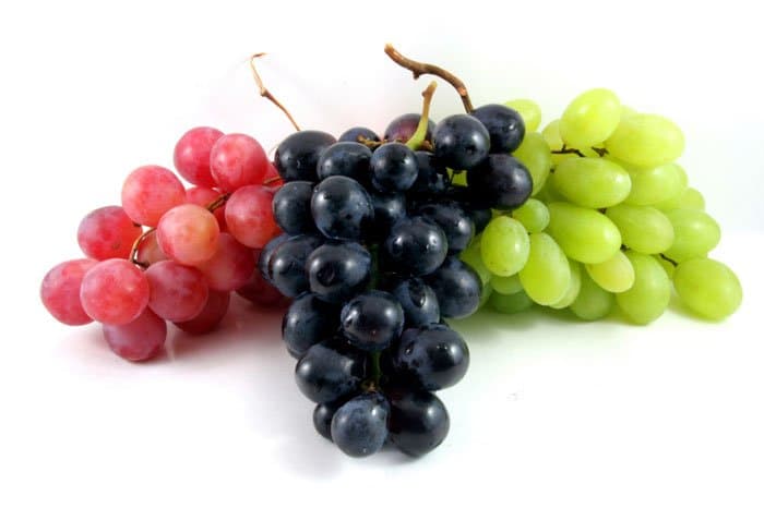 Grapes Side Effects: इन मरीजों के लिए अंगूर का सेवन जानलेवा, जानें किन्हें नहीं खाना चाहिए हरे या काले रंग का अंगूर