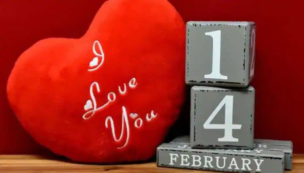 Happy Valentine's Day 2025